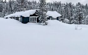 Lonnasvegen